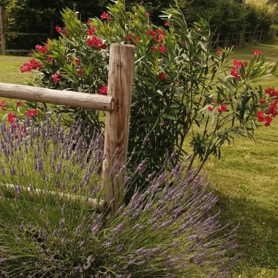 La Fontaine De La Chapiniere Cw Châteauvieux