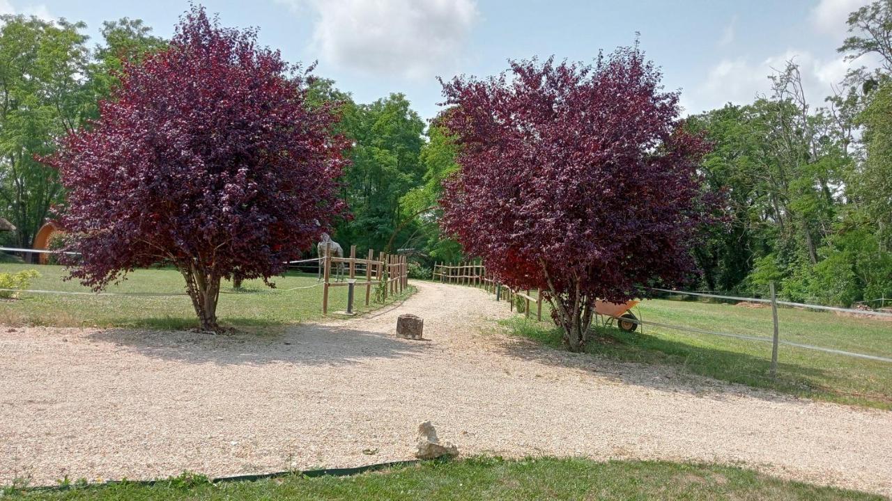 La Fontaine De La Chapiniere Cw * Châteauvieux