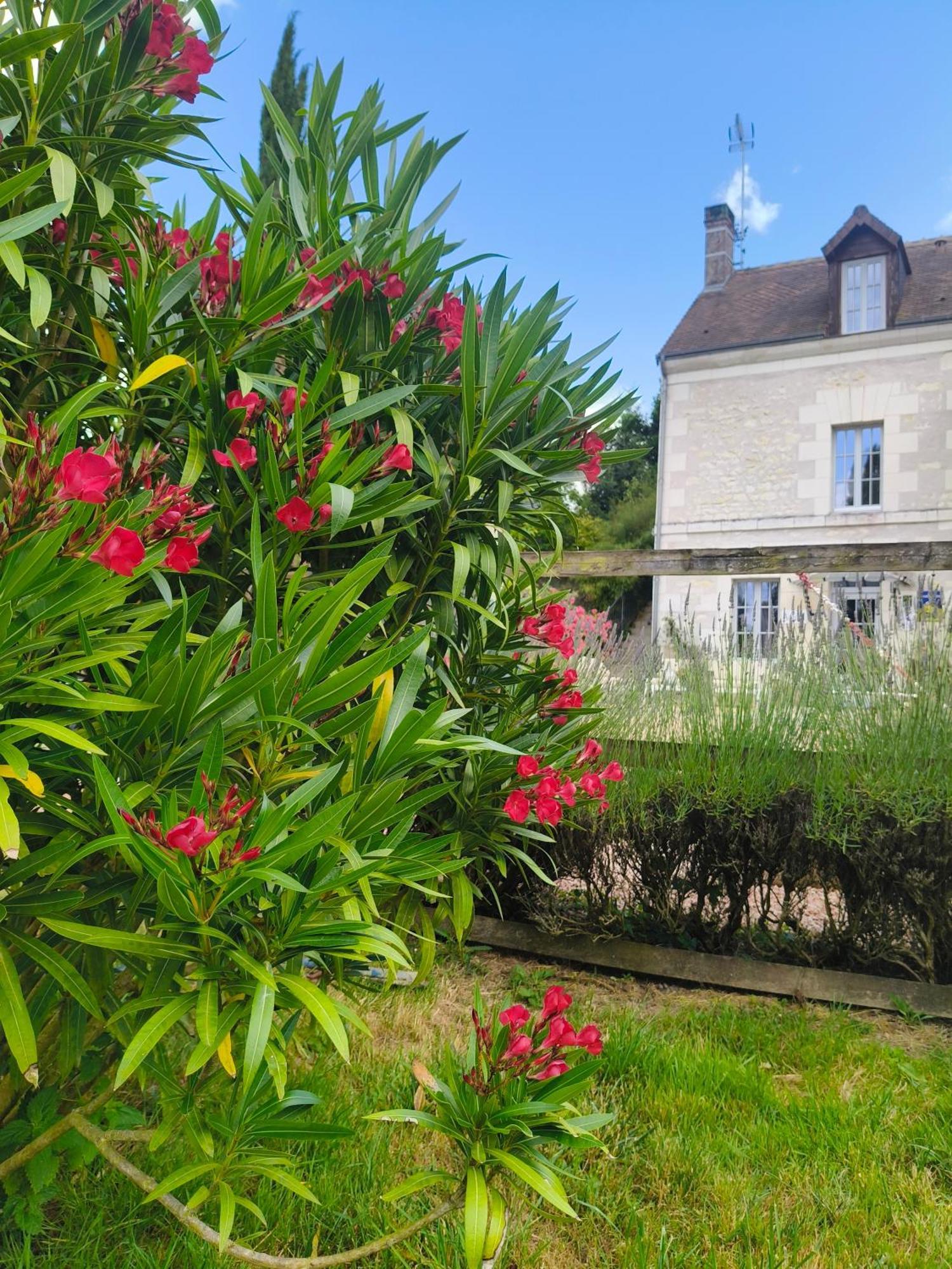 La Fontaine De La Chapinière Cw Maison d'hôtes