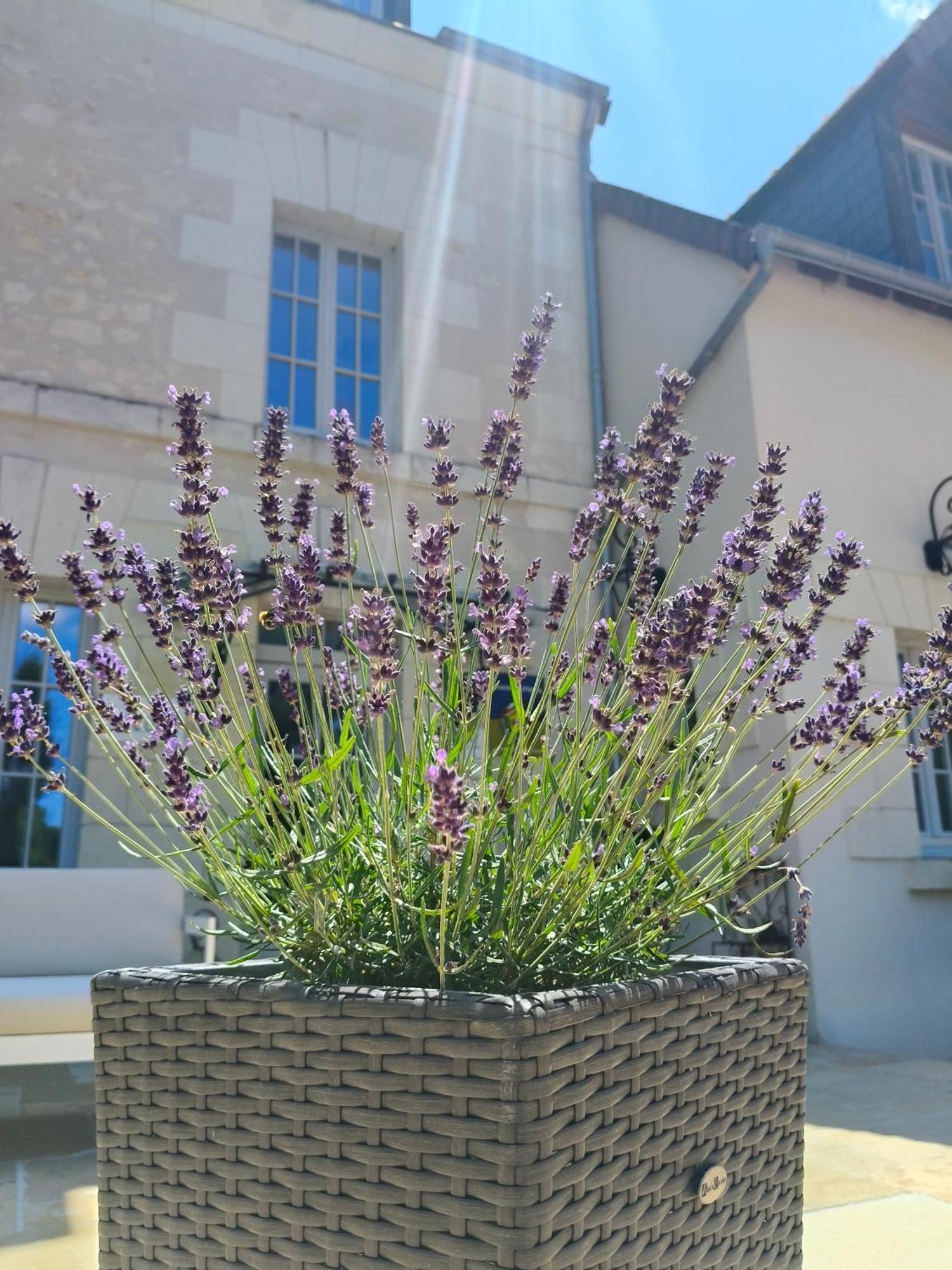 Maison d'hôtes La Fontaine De La Chapinière Cw Châteauvieux